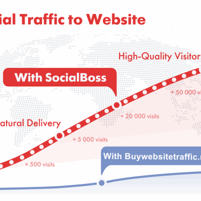 GROW YOUR WEBSITE WITH TARGETED SOCIAL MEDIA TRAFFIC